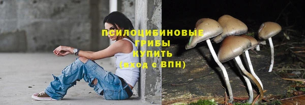 синтетический гашиш Абинск