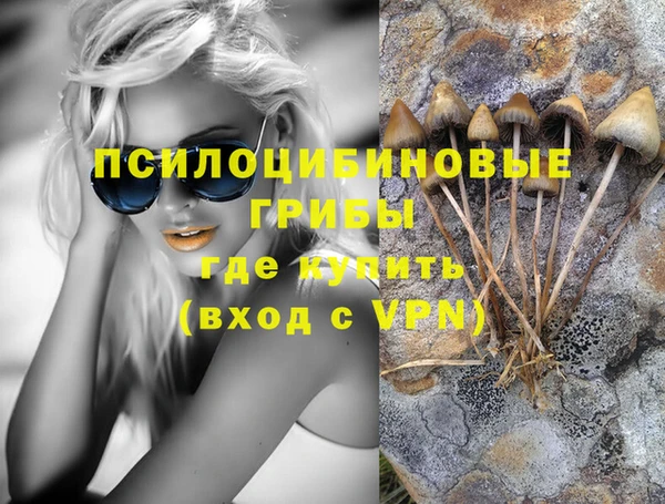 круглые Абаза