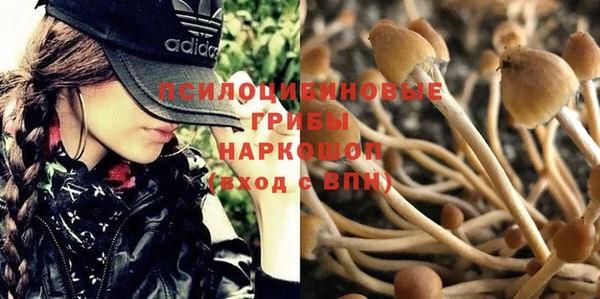 круглые Абаза
