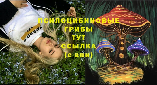 стафф Абдулино