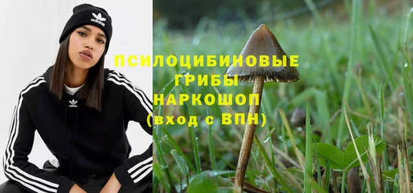 синтетический гашиш Алексин