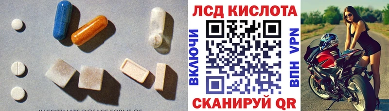 kraken как войти  Ртищево  Лсд 25 экстази кислота 