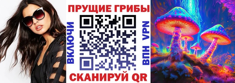 OMG зеркало  купить наркотики сайты  Ртищево  Галлюциногенные грибы прущие грибы 
